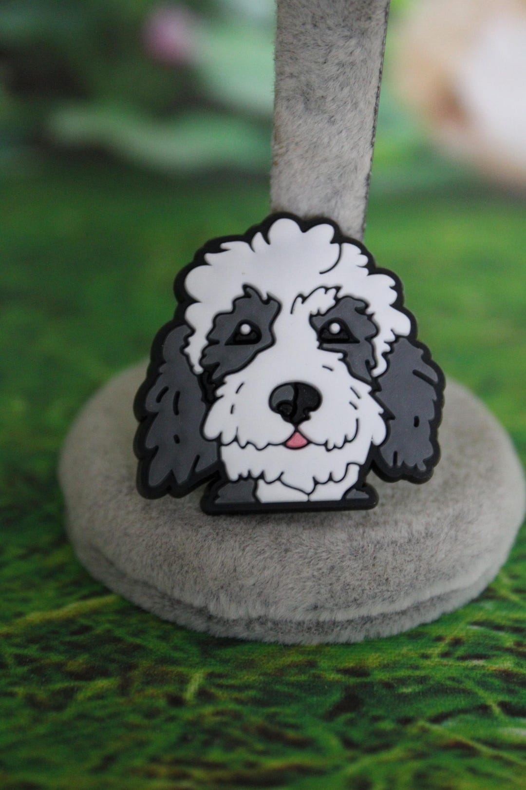 Gray and White Golden Doodle Dog With Colorful Nose Shoe