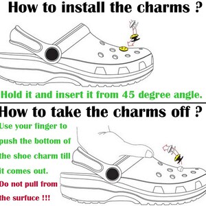 Pakistan Flag Shoe Charm: Soft PVC Clog Decoration image 6