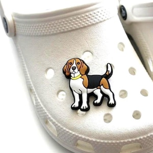 May include: A white clog shoe with a beagle dog charm. The charm is a colorful, cartoon-style depiction of a beagle, featuring brown, black, and white markings, and a yellow collar. The shoe has multiple ventilation holes.