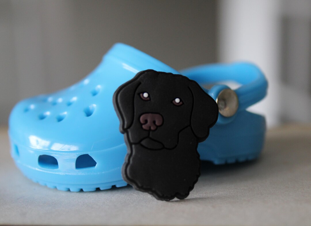 Labrador retriever shoes online