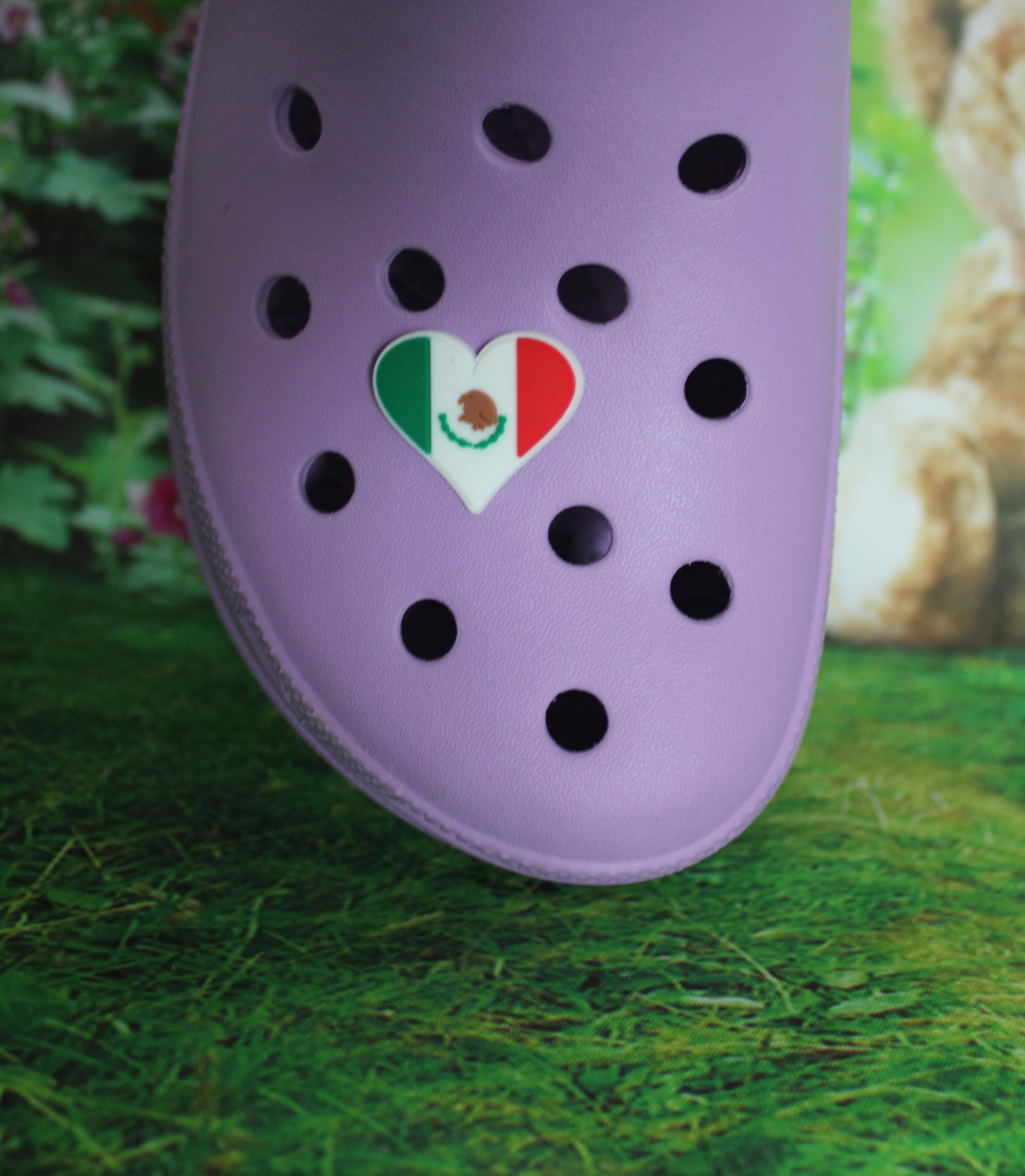 Mexican flag heart shoe charm