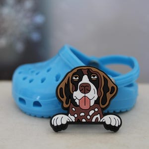 May include: A brown and white German Shorthaired Pointer dog charm with a brown nose and tongue sticking out. The charm is attached to a blue pair of clogs.