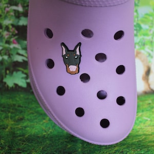 Dark Gray and Brown Doberman dog  with Pink nose shoe charm