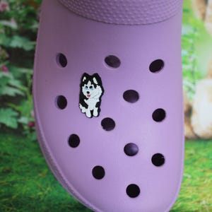 1 piece Mini Pomsky dog shoe charm ( Original design)