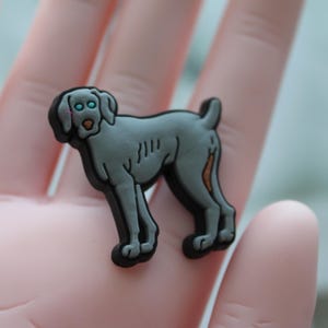 May include: A gray rubber charm of a Weimaraner dog with blue eyes. The charm is a 3D representation of a dog.