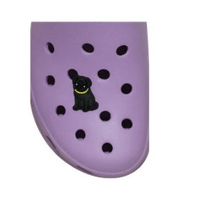 May include: A purple shoe with a black pug charm. The charm has a gold collar.