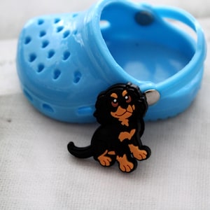 May include: A light blue miniature clog shoe with a black and tan dog charm. The charm is a Cavalier King Charles Spaniel. The shoe has multiple holes and a pivoting heel strap.