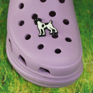 May include: A black and white dog charm in the shape of a German Shorthaired Pointer, attached to a lavender pair of Crocs.