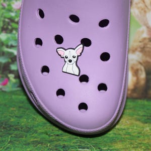 White Chihuahua dog clog charm for clogs