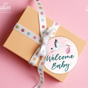 Tags oder Cupcake Toppers - Sofort Download, Heißluftballon, Baby Shower, Erster Geburtstag, Danke, Tags, Gunst, Cupcake Toppers, Abenteuer