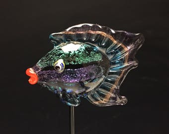 Glass fish , glass fish sculpture, glass fish, lampwork fish, flamework fish,Wayne Robbins glass fish, beautiful fish, #7