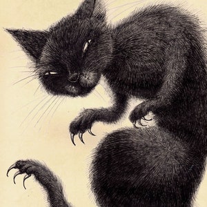 Black Cat Print
