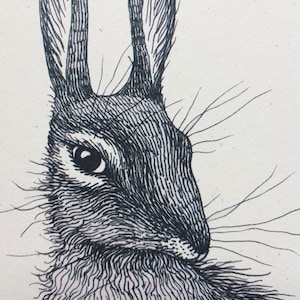 Pu&ograve; includere: Un disegno in bianco e nero del viso di un coniglio. Il coniglio ha lunghi baffi e le sue orecchie sono puntate verso l'alto.