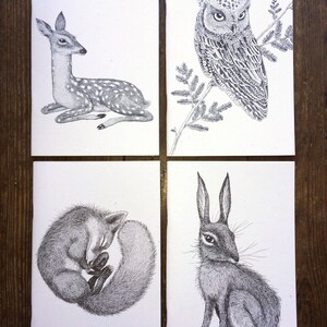 Pu&ograve; includere: Quattro illustrazioni in bianco e nero di animali: un cerbiatto sdraiato, un gufo appollaiato su un ramo, una volpe rannicchiata che dorme e un coniglio seduto in piedi.