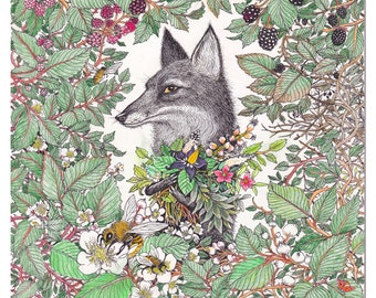 Botanical illustration herbal medicine fox