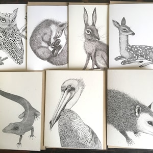 Briefpapier Set Notitiekaarten Dieren