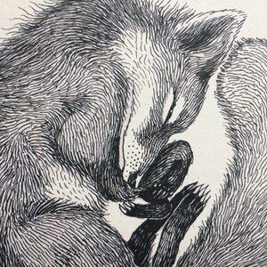 Pu&ograve; includere: Un disegno in bianco e nero di una volpe rannicchiata nel sonno. La pelliccia della volpe &egrave; dettagliata con linee sottili, creando una texture realistica.