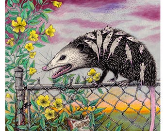 New Orleans Possum Digital Print Wall Art Print