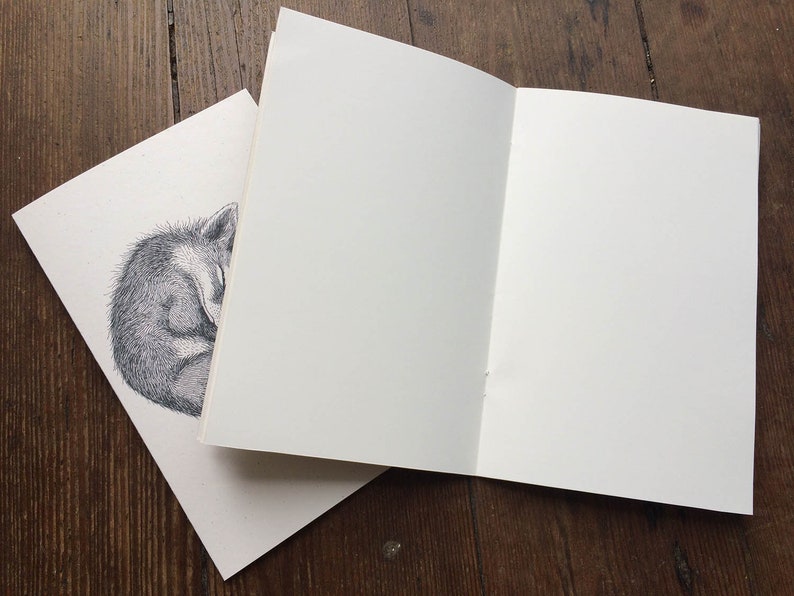 Pu&ograve; includere: Un quaderno vuoto con un disegno di una volpe addormentata sulla copertina.