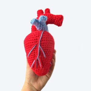 May include: A crocheted anatomical heart plush toy with red and blue yarn. The heart is held in a hand.