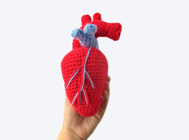 May include: A crocheted anatomical heart plush toy with red and blue yarn. The heart is held in a hand.