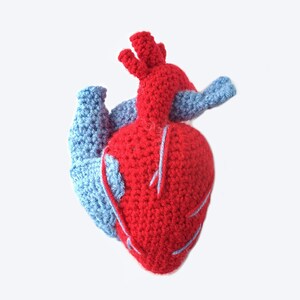 CROCHET PATTERN: Realistic Heart | Crochet Pattern, Heart Pattern ...