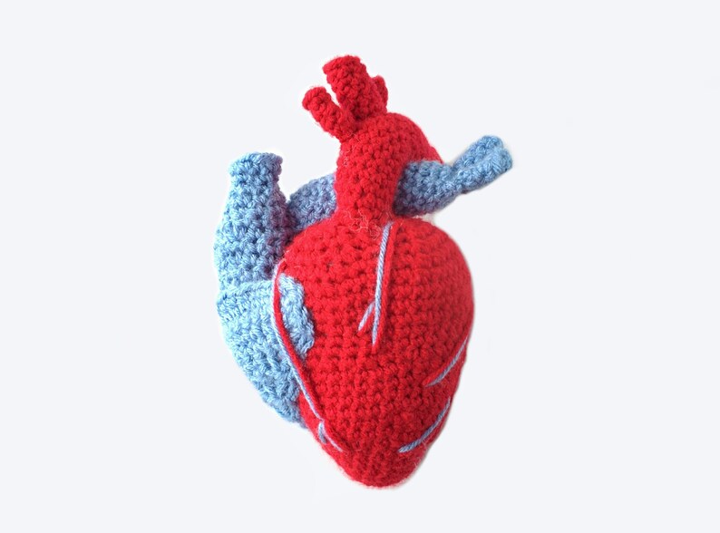 May include: A crocheted anatomical heart with red and blue yarn. The heart is a realistic representation of the human heart.