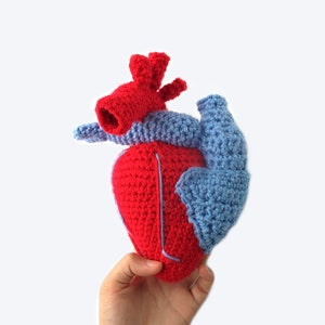 May include: A crocheted anatomical heart plush toy, with a red body and blue chambers. The heart is held in a hand.