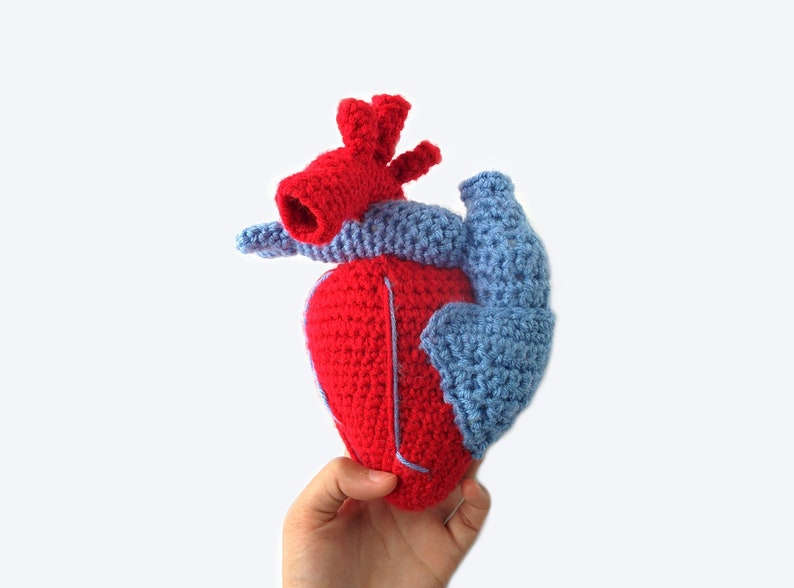 May include: A crocheted anatomical heart plush toy, with a red body and blue chambers. The heart is held in a hand.