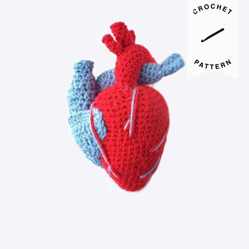 May include: A crocheted anatomical heart with red and blue yarn. The heart is crocheted in the style of a realistic human heart.