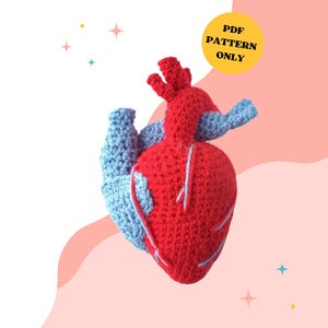 HÄKELANLEITUNG: Realistisches Herz | Häkelanleitung, Herz Muster, Häkelspielzeug, Handgemacht, Häkelherz, digitaler Download, anatomisches Herz