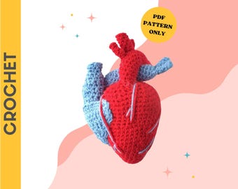 CROCHET PATTERN: Realistic Heart | crochet pattern, heart pattern, crochet toys, handmade, crochet heart, digital download, anatomical heart