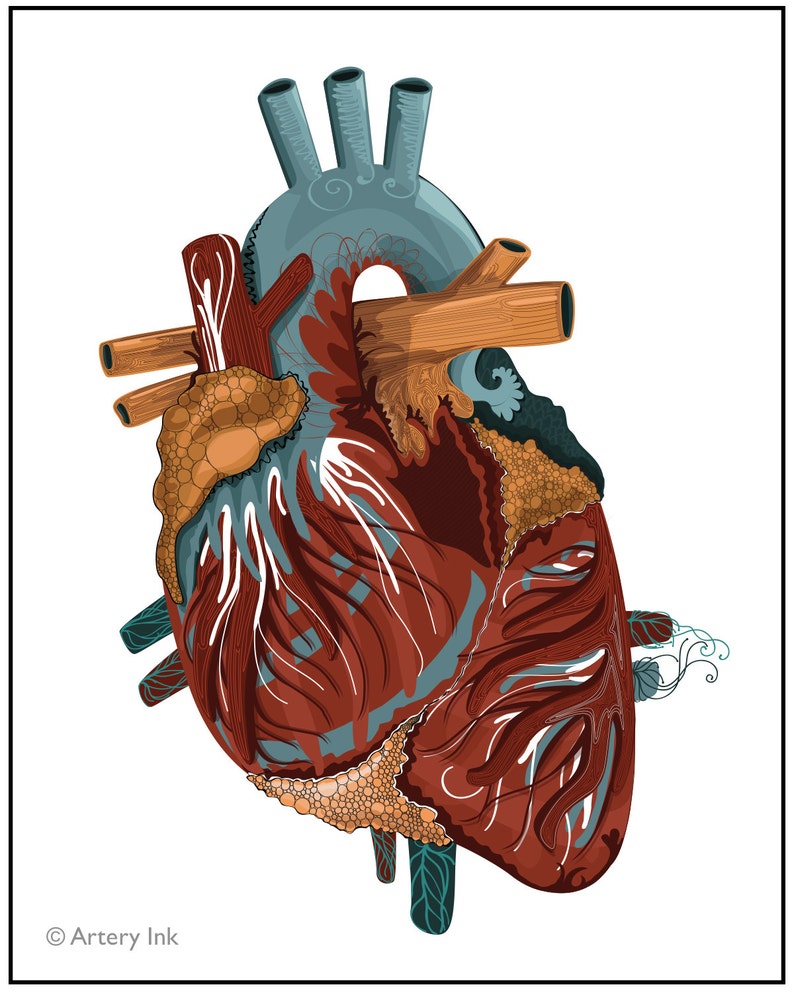 Heart Vector Anatomical