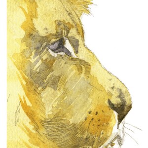 Lion painting beautiful African king cat animal watercolour art drawing painting print for her wife mother gift idea A4 image 2