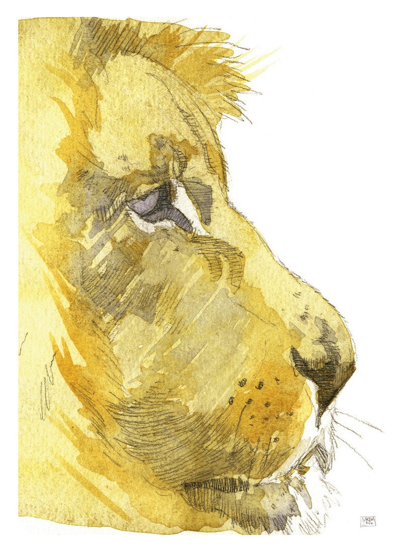 Lion painting beautiful African king cat animal watercolour art drawing painting print for her wife mother gift idea A4 image 2