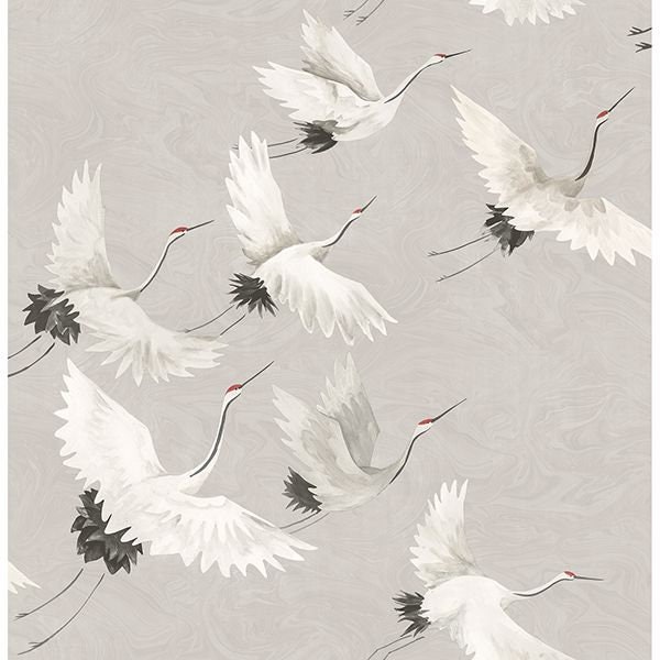 Fondo de pantalla de Windsong Bird Grey