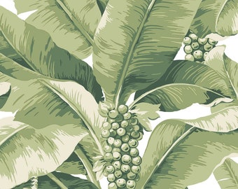 Paradisio Palm Olive Green Wallpaper
