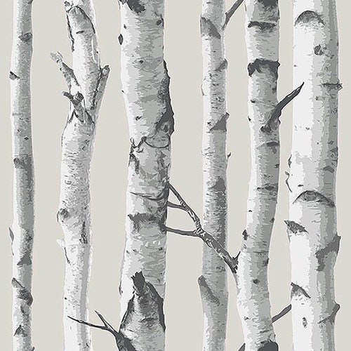 Papier peint autocollant gris bouleau