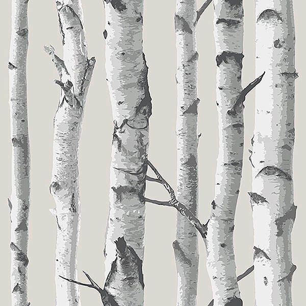 Birch Tree Grey PEEL & STICK Wallpaper