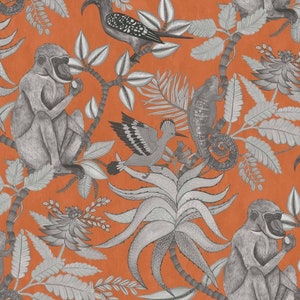 Savuti Orange