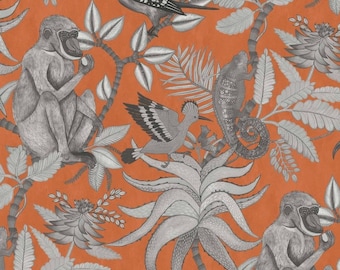 Savuti Orange