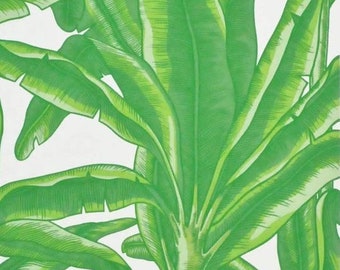 Lyford Key Green Palm Leaf Tropical Wallpaper