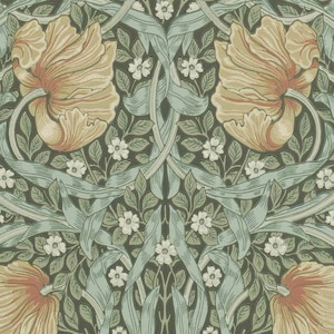 PIMPERNEL- Multi colorway