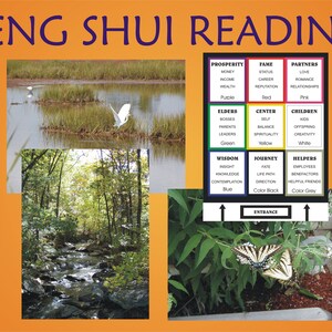 60 to 90 Minute Online Conference Feng Shui Reading