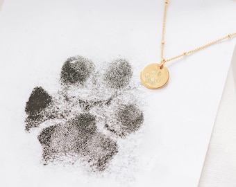 Non-Toxic Inkless Paw Print Kit: Clean, No-Mess Prints for Dogs & Cats