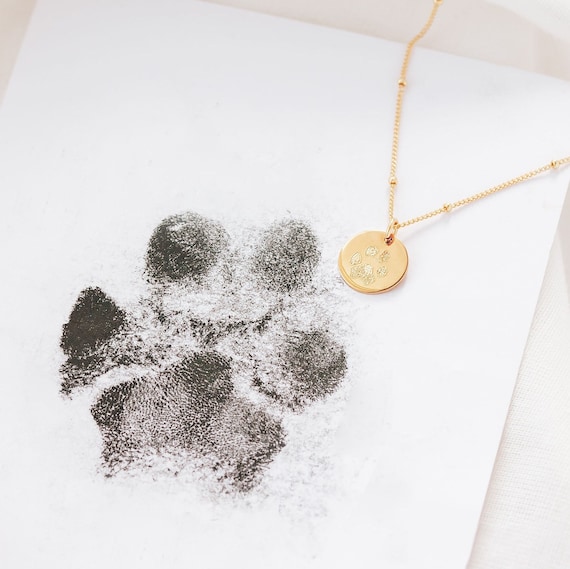 Non-Toxic Inkless Paw Print Kit: Clean, No-Mess Prints for Dogs & Cats