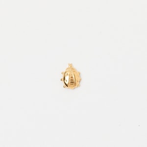 Könnte beinhalten: Ein kleiner, goldfarbener Marienkäfer-förmiger Anhänger. Der Anhänger hat ein detailliertes Design mit kleinen Punkten und einer strukturierten Oberfläche, vor einem schlichten weißen Hintergrund. Der Marienkäfer hat einen runden Körper und kleine Fühler.