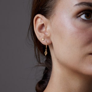 Ein Paar Hoops Creolen mit Diamant Raute Silber Gold Rosé Ohrringe Kleine Creolen Ohrschmuck Ohrringe