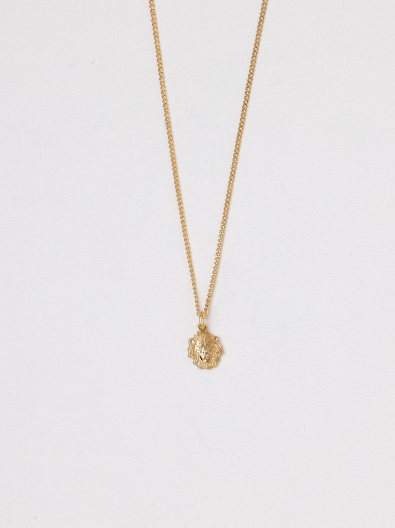 May include: A gold chain necklace with a lion head pendant.