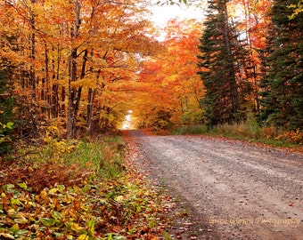 Autumn Picture, Upper Peninsula, Autumn Forest Photograph, Michigan Fall Landscape Print, Forest Leaves, Country Rustic Nature Prints